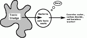 bacteria & bioremediation - courtesy